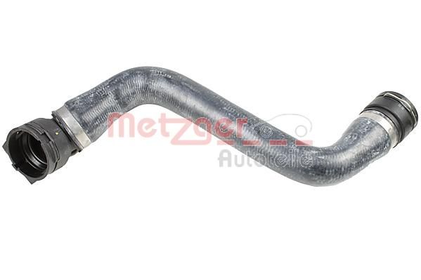 Radiator Hose -