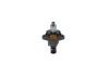 lnjection Pump -