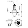 Bulb, spotlight H4 LongerLife Ecovision