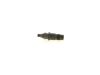 Nozzle and Holder Assembly 16600 2J610 NISSAN