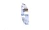 Mount, exhaust system -