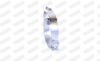 Mount, exhaust system -