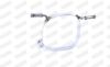 Mount, exhaust system -