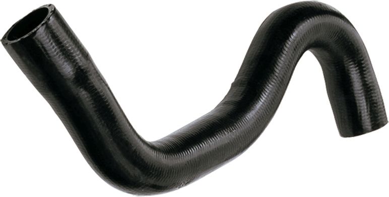 Radiator Hose -