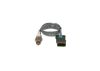 Oxygen Sensor -