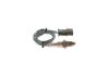 Oxygen Sensor -