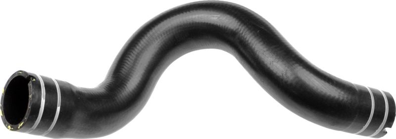 Radiator Hose -