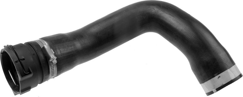 Radiator Hose -
