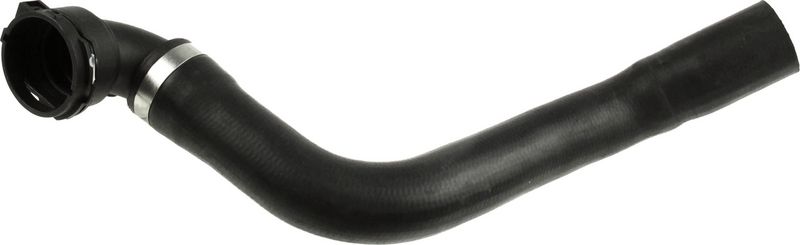 Radiator Hose -