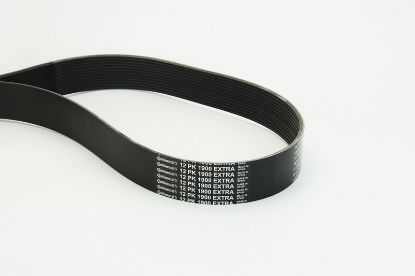 V-Ribbed Belt - V-Ribbed Belt -