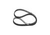 Timing Belt -