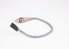 Oxygen Sensor -