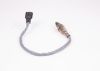 Oxygen Sensor -