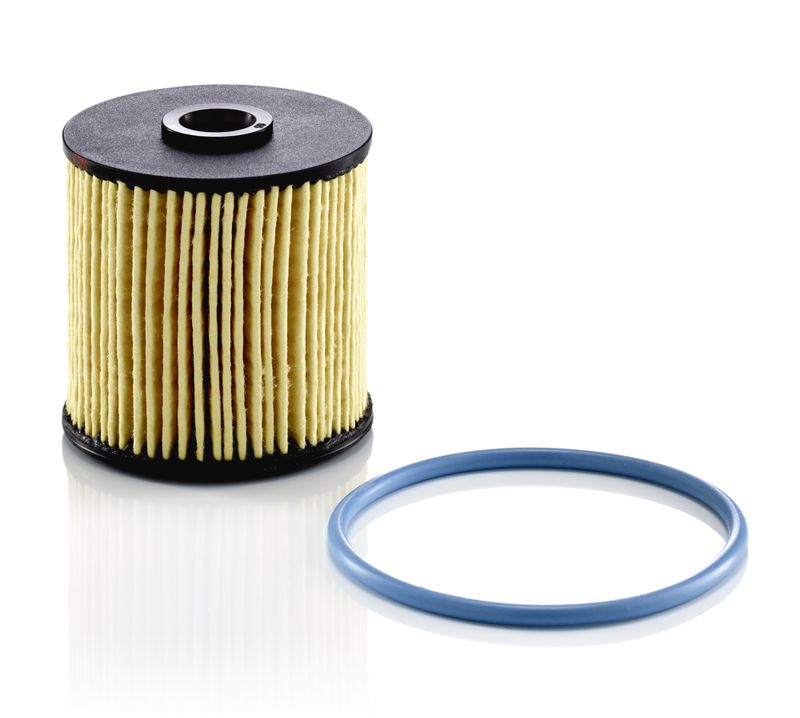 Fuel Filter PSA - 98 013 666 80