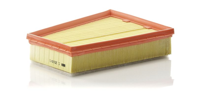 Air Filter RENAULT - 16 54 628 62R