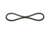 V-Belt 13X800