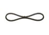 V-Belt 13X800