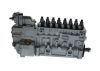 lnjection Pump -