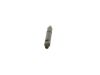 Nozzle and Holder Assembly -