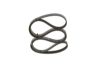 V-Ribbed Belt -