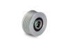 Alternator Freewheel Clutch -