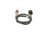 Oxygen Sensor -