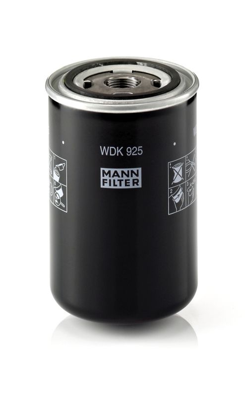 Fuel Filter DAF DN 1916