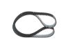 Timing Belt -