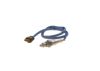 Oxygen Sensor Oxygen Sensor