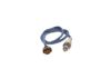Oxygen Sensor Oxygen Sensor