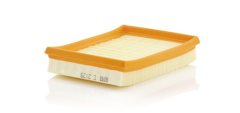 Air Filter Kia Motors / Mazda