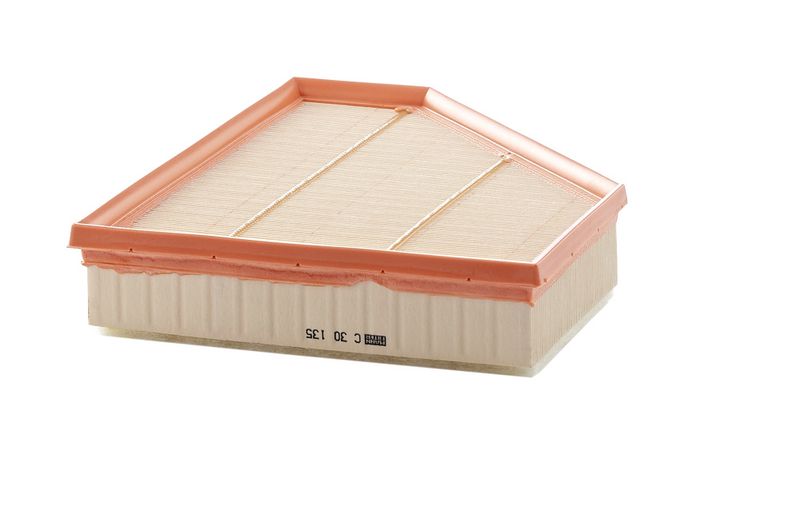 Air Filter BMW - 13 71 7 797 465