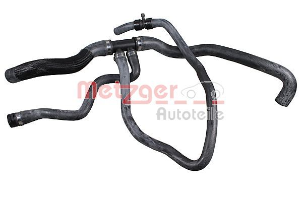 Radiator Hose -