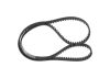 Timing Belt -