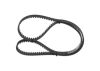Timing Belt -