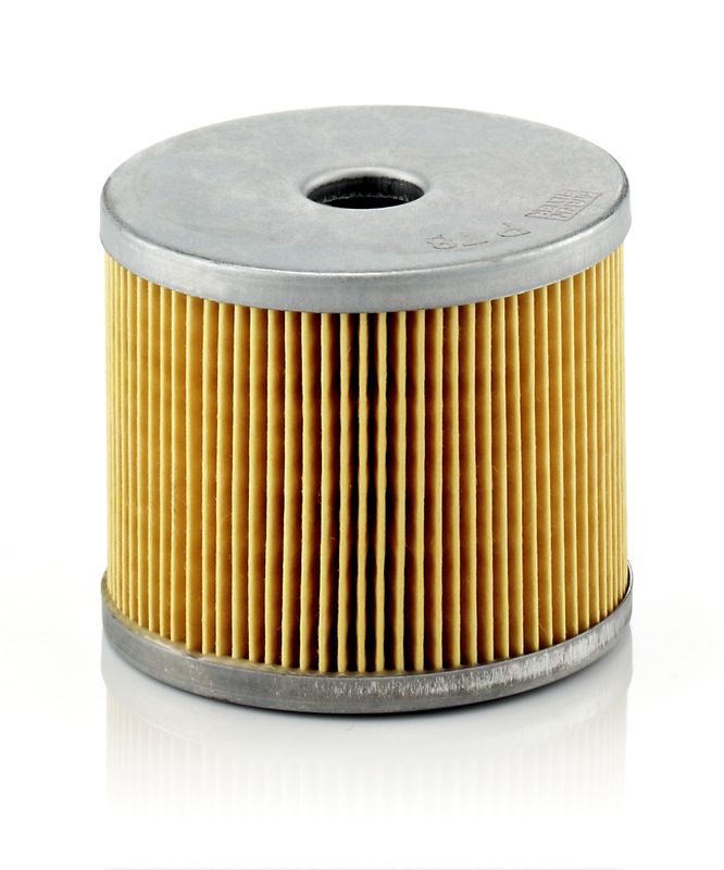 Fuel Filter Peugeot,Renault