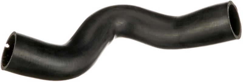 Radiator Hose -