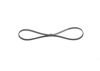 V-Ribbed Belt -