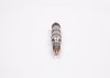 Injector Nozzle Injector New (modern)