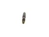 Nozzle and Holder Assembly -