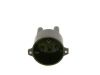 Distributor Cap -