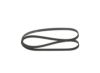 V-Ribbed Belt FIAT - 46550322 - 5PK1588