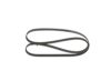 V-Ribbed Belt FIAT - 46550322 - 5PK1588