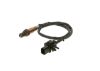 Oxygen Sensor -