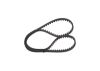 Timing Belt -