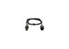 Oxygen Sensor -