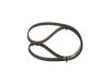Timing Belt -