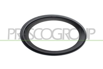 Frame, front fog light -