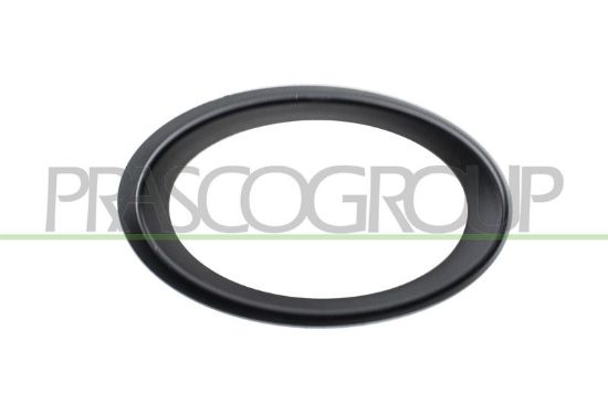 Frame, front fog light -