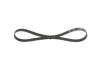 V-Ribbed Belt VAG - 03G 903 137 A - 6PK950